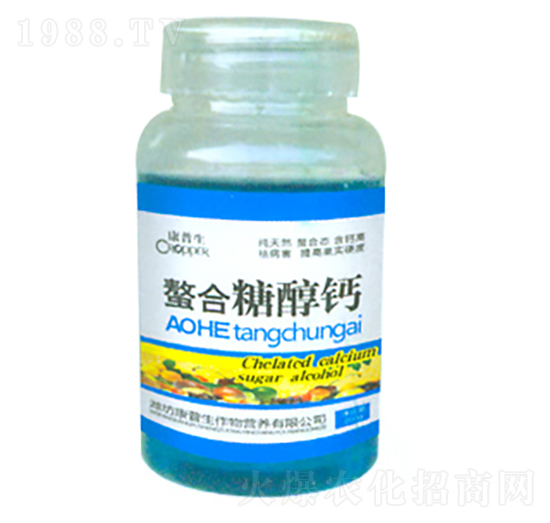 �����Ǵ��}-������