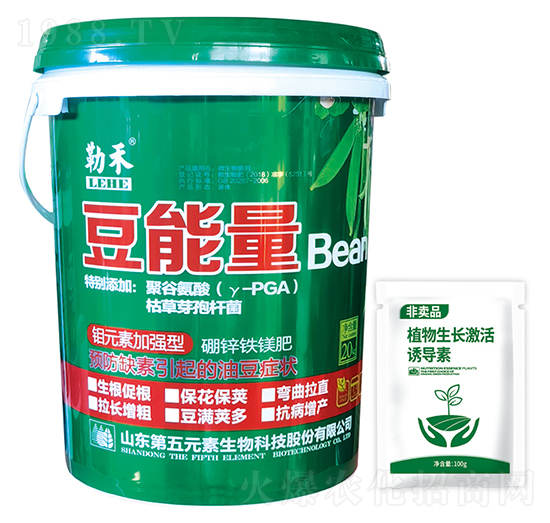 豆能量-勒禾-第五元素