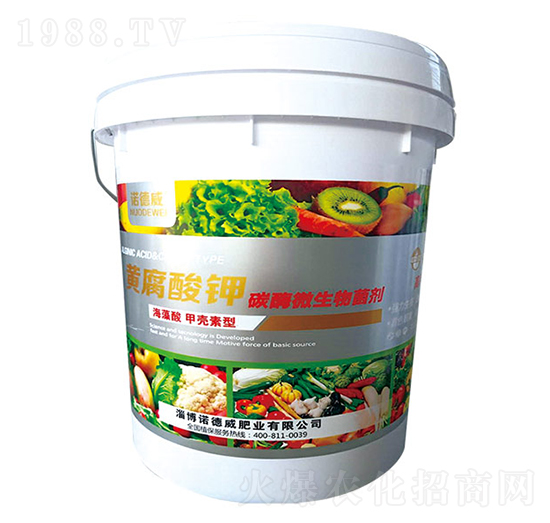 �S�����-�Z����