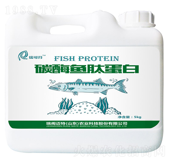 ø���~(y��)�ĵ���-��ɵ�-���w�~��