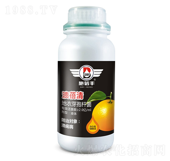 ������-ʩ���S