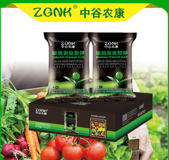 ̼ø�S�����-�й��r(n��ng)��