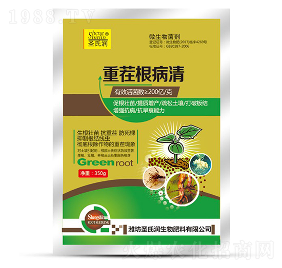 �ز������-ʥ�ϝ�(r��n)