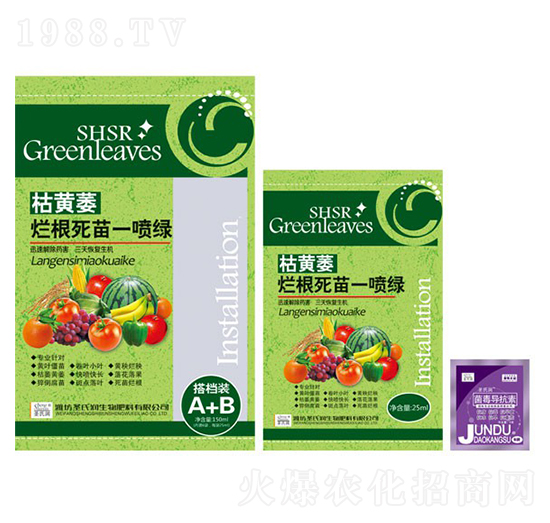 ���Sή��������һ���G-ʥ�ϝ�(r��n)