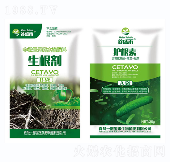 ������+�o����-һ������