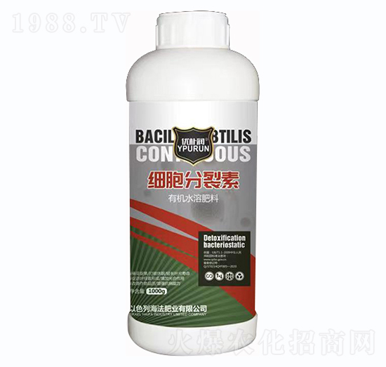 ����������-һ������