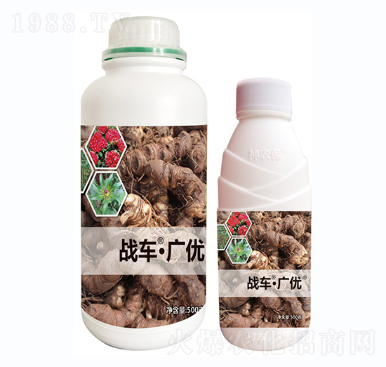 ��(zh��n)܇���V��(y��u)-�ؘ�-��(zh��n)܇