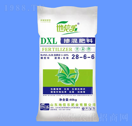 �������28-6-6-���Ř�(l��)