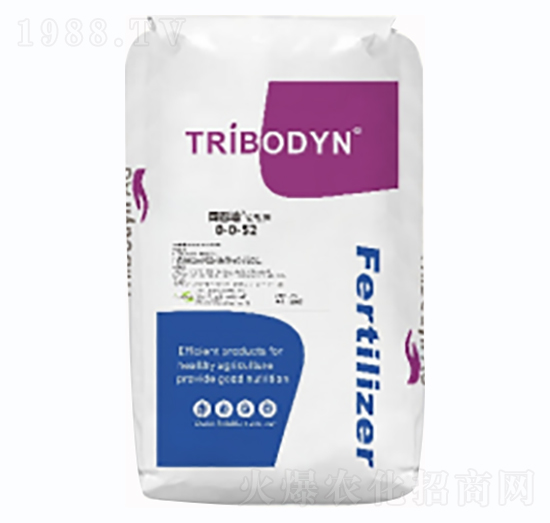 �����0-0-52-�D�͵�