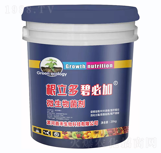 ΢�������-�����ࡤ�̱ؼ�-�κ�����