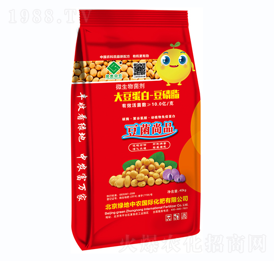 �󶹵��ס�����֬-�G�����r