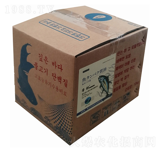 �ͺ��~�������w��-�ۄ�