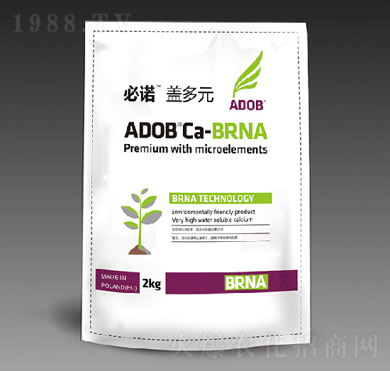 蓋多元-必諾-阿道姆