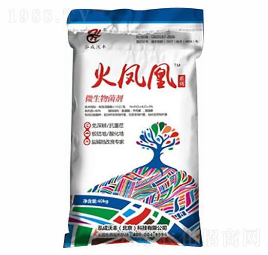 ���P��΢�������-����̩