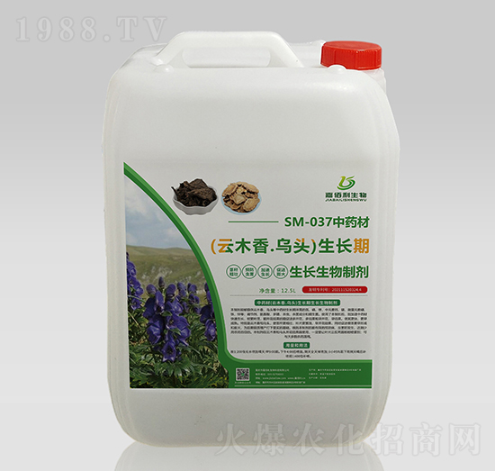 SM-037��ˎ����ľ����^���L(zh��ng)�����L(zh��ng)�����Ƅ�-�ΰ�������