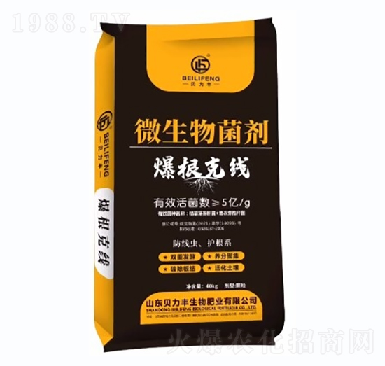 �����˾�΢�������-ؐ���S