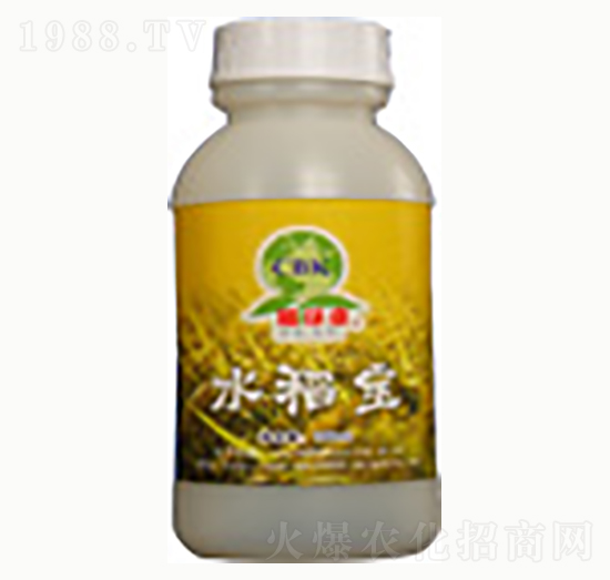 ˮ����-�n����