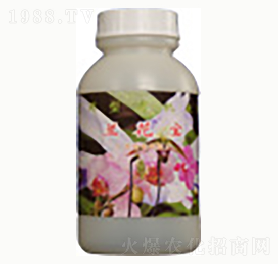 蘭花寶-賜?？? style=