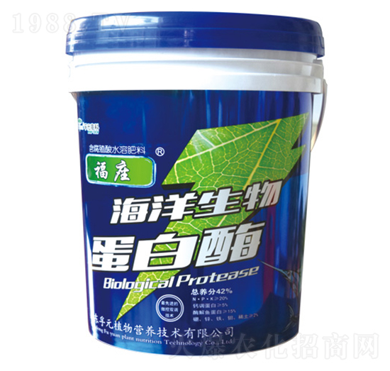 �������ﵰ��ø-��Ԫ