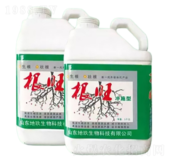 �_ʩ�͸���-�ؾ�����