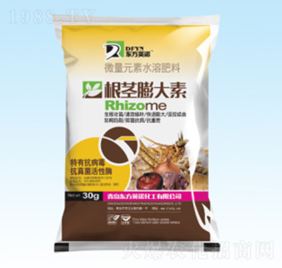 ���o�����-�|��Ӣ�Z