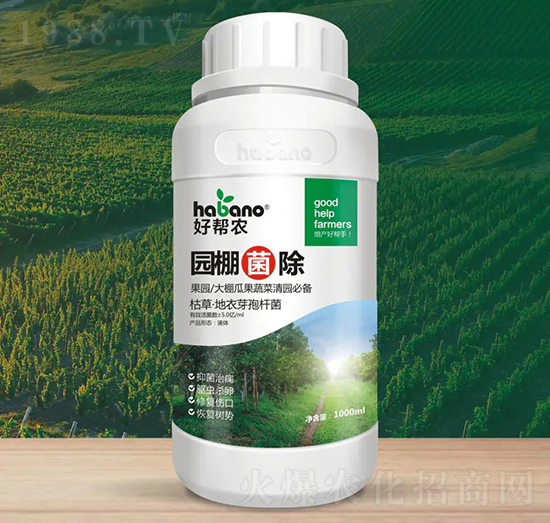 �@�����-�Î��r(n��ng)