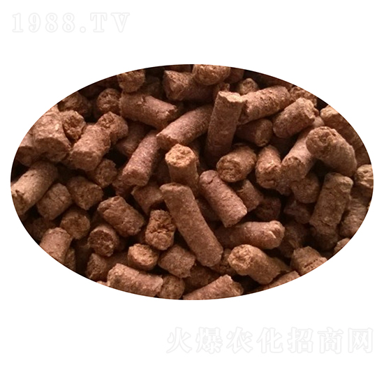 �����w��-Ǭ���r�I(y��)