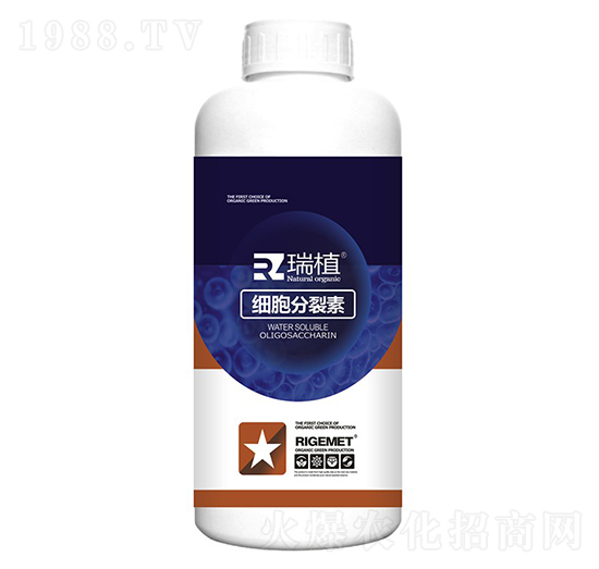 ����������-��ֲ-���w�~��