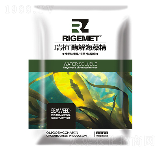 ø�⺣�徫-��ֲ-���w�~��