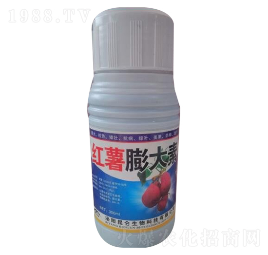 �t�������-�����_(d��)