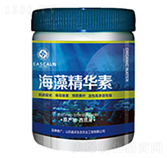 ���徫�A��-����