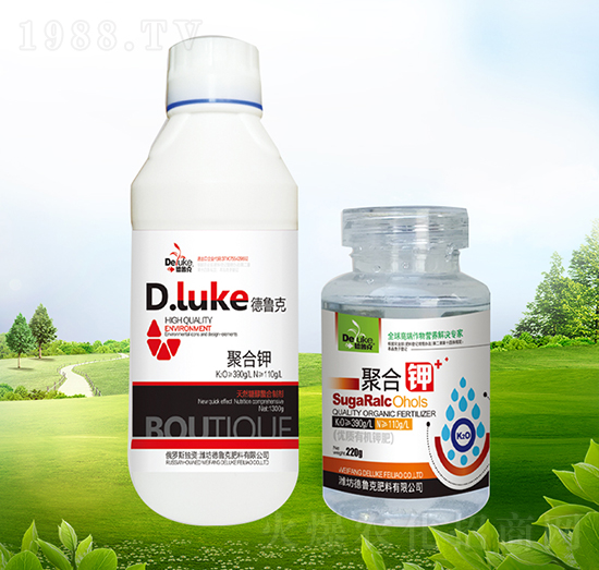 �ۺ��-������