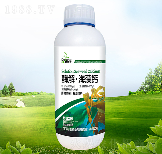 ø�⡤�����}-������