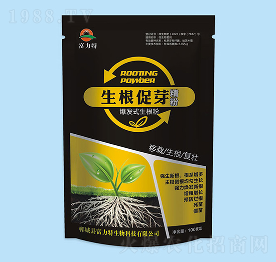 ������ѿ����-������