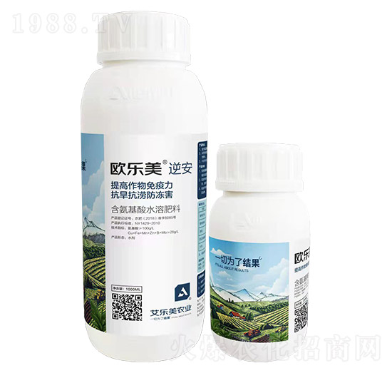 �W��(l��)��-�氲-����(l��)��