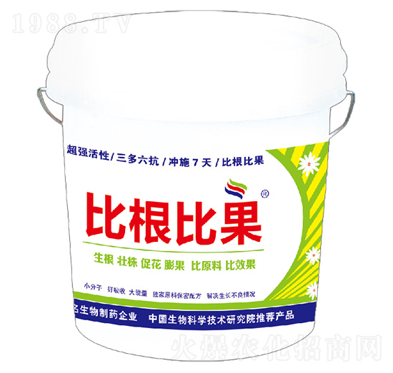 �ȸ��ȹ�-�º���