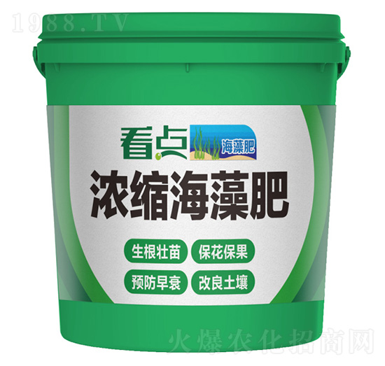 ��s�����-���c(di��n)