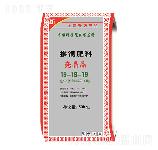 �������19-19-19-������-��M�}