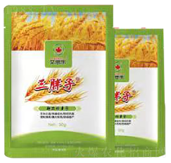 ������-��˼��