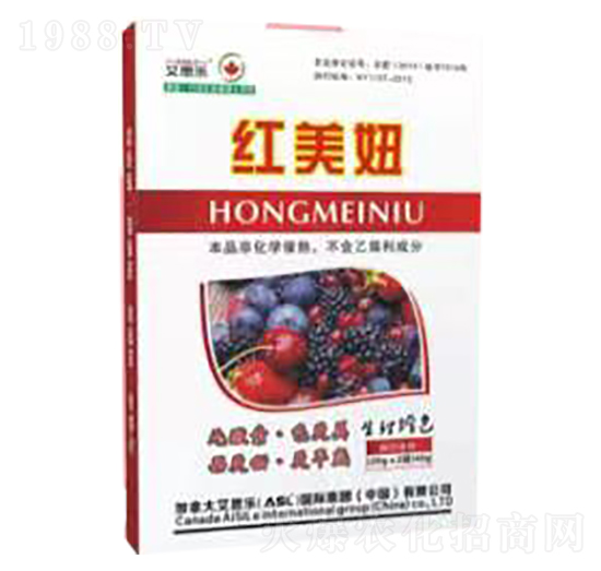 �t���-��˼��(l��)