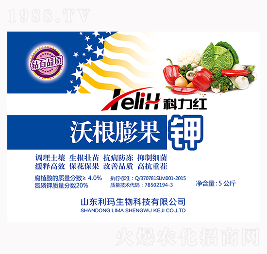 �ָ�����-�����t-��������