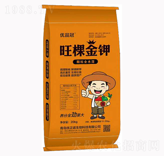 ���ý��-��������