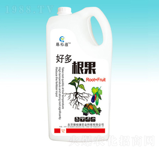 �ö����-��ԣ��