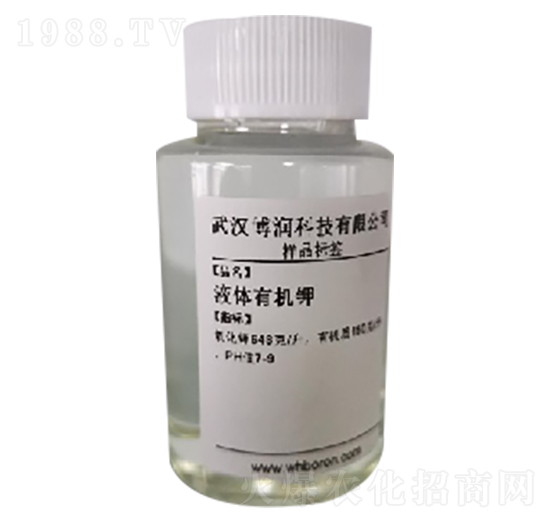 Һ�w�ЙC⛷�-�����Ƽ�