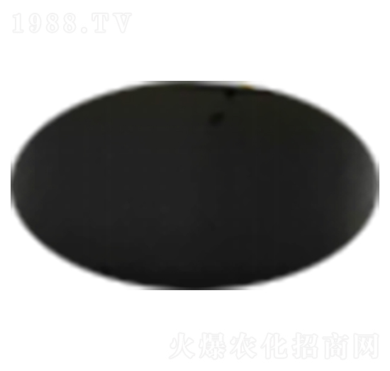 ø�ⰱ���������F-�����Ƽ�