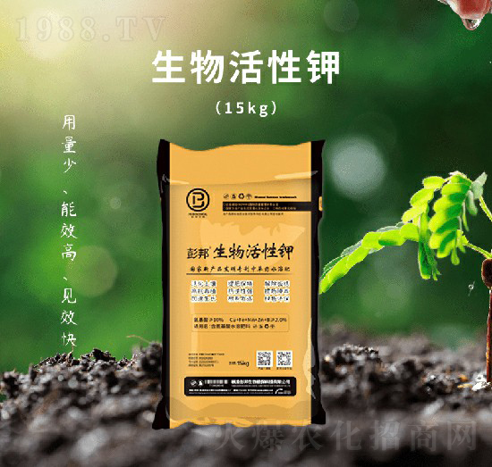 ������������-��������