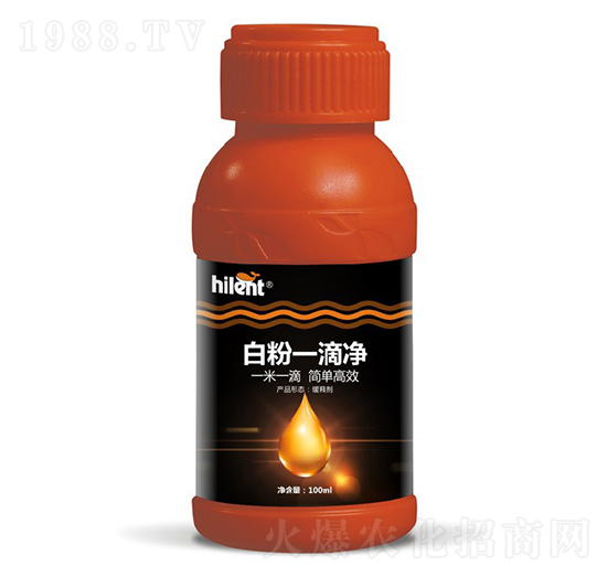 �׷�һ�΃�-���{��