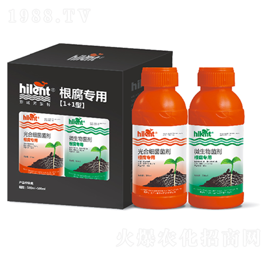 �������á�1+1�͡�-���{(l��n)��