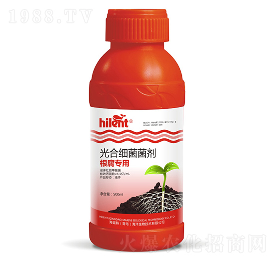 �������ù�ϼ�������-���{��