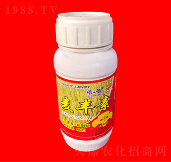 ���S��-���ӱ�-���R�ʘI(y��)